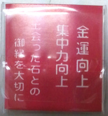 現役で活躍する行政書士・社会保険労務士のホンネと建前-タイガーアイ２